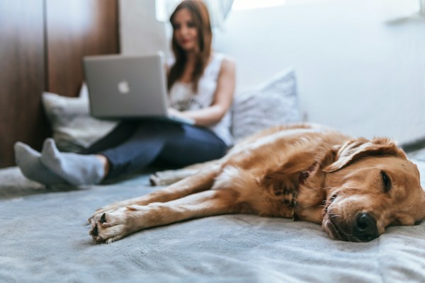 Search for People Online: A Guide 2 img