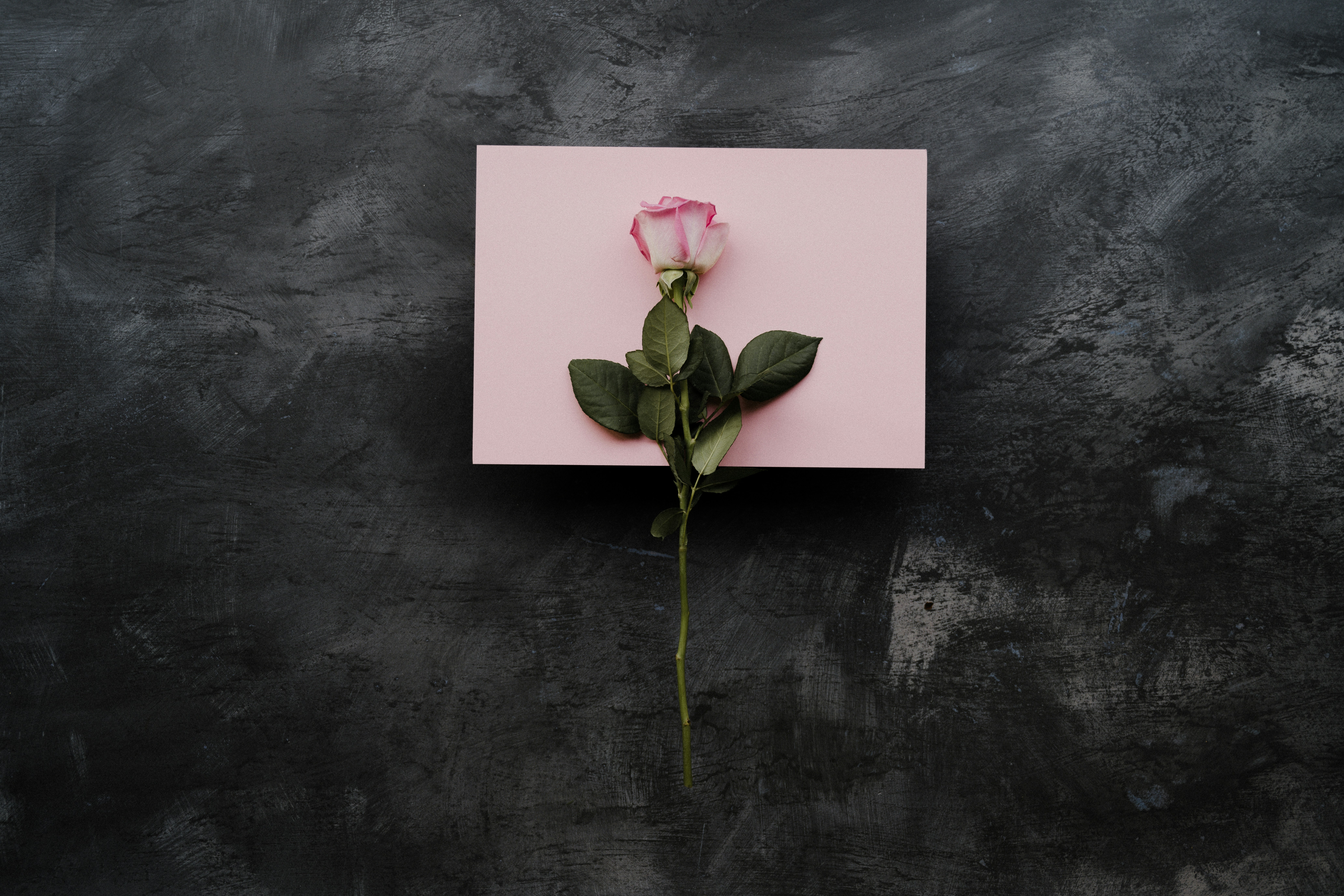 Romantic Gift Ideas to Surprise Your Girlfriend 5 img